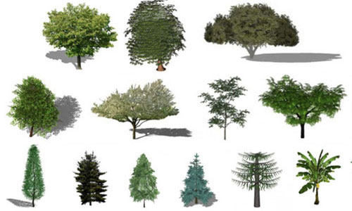 Refresh the greenery in the Renders with this Free Library of plants for SketchUp