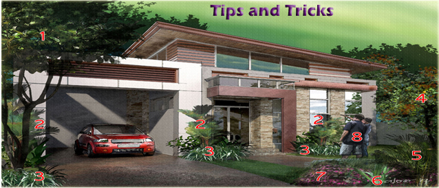 Tips and Tricks