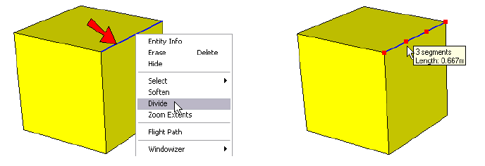 sketchup number entity show segments