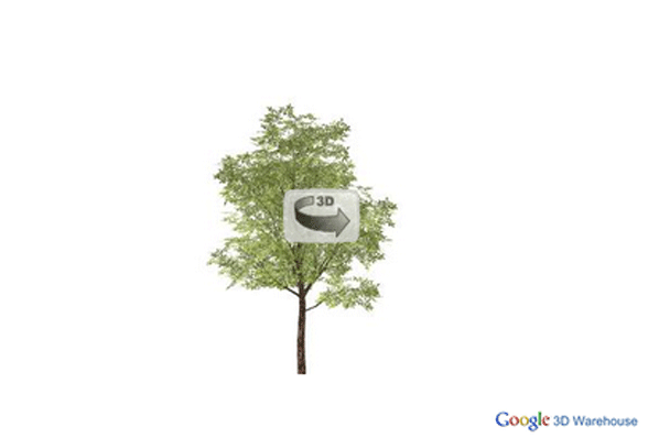 Making the Smart Tree Smarter